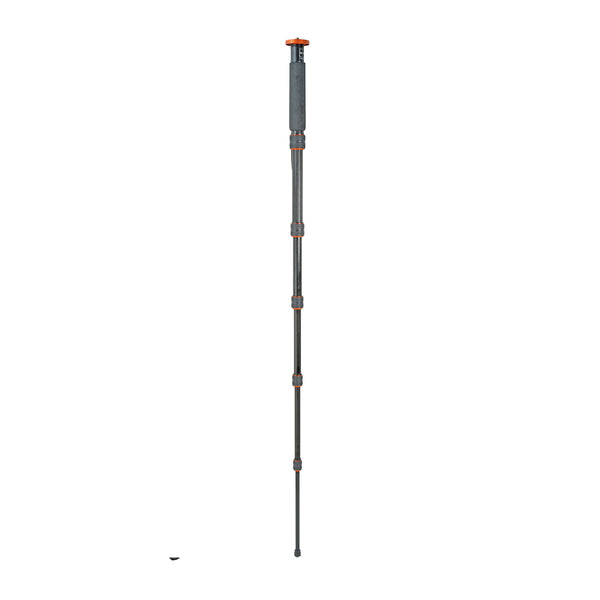 Gitzo GM3860C