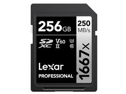 Lexar 256GB V60 Kort